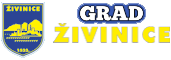 Grad Živinice
